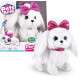 Pets Alive - Lil Paw que camina Pets Alive - Lil Paw que camina