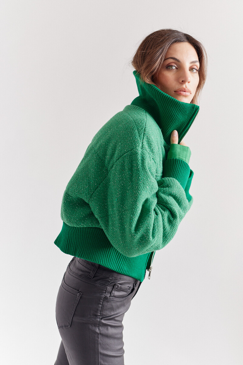 Campera Magnetica Verde