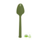 Cuchara Biodegradable x50 Unidades Cactus