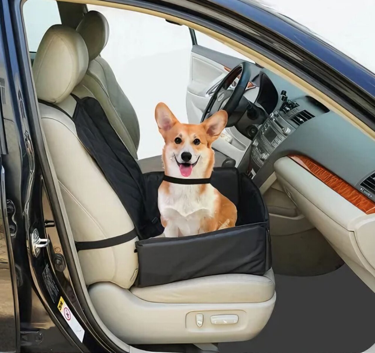 Cobertor Individual Para Mascota 