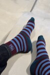 Socks Rule Bordo