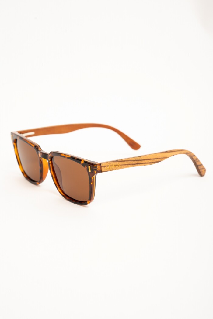 Lentes De Sol Polarizados Marron