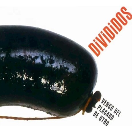 Divididos - Vengo Del Placard De Otro - Vinilo Divididos - Vengo Del Placard De Otro - Vinilo