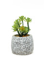 Planta Suculenta Artificial, Mini Color Unico