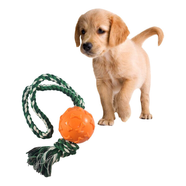 Juguete Masticable Perro Pelota Maciza Cuerda Resiste Variante Color Naranja