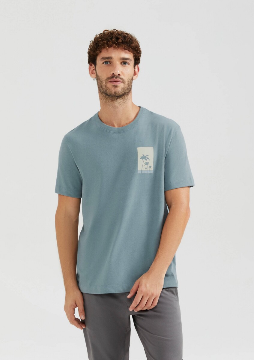 CAMISETA CON ESTAMPADO - GRIS 