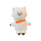 Peluche BT21 Rj