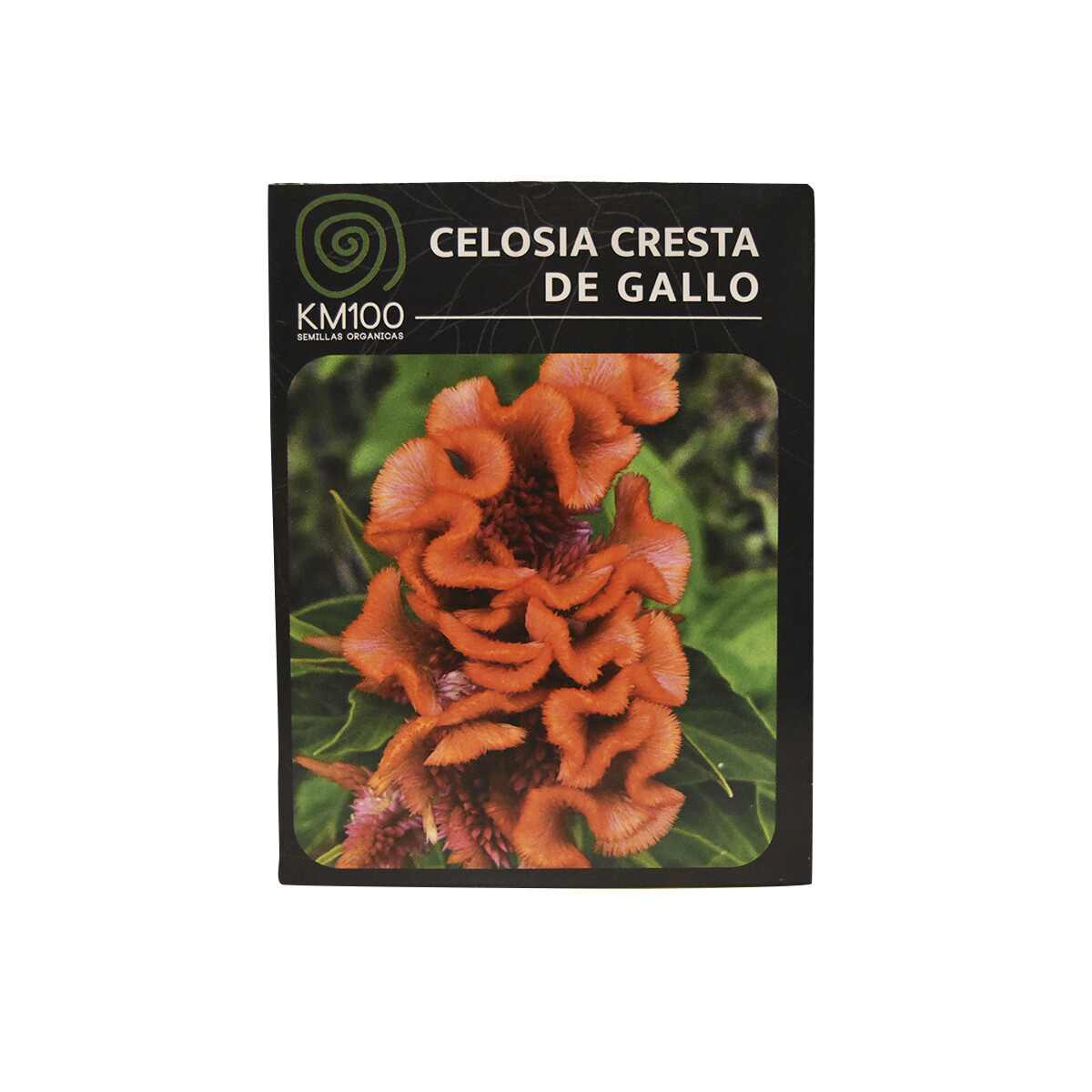 Semillas autocultivo celosia cresta de gallo KM100 