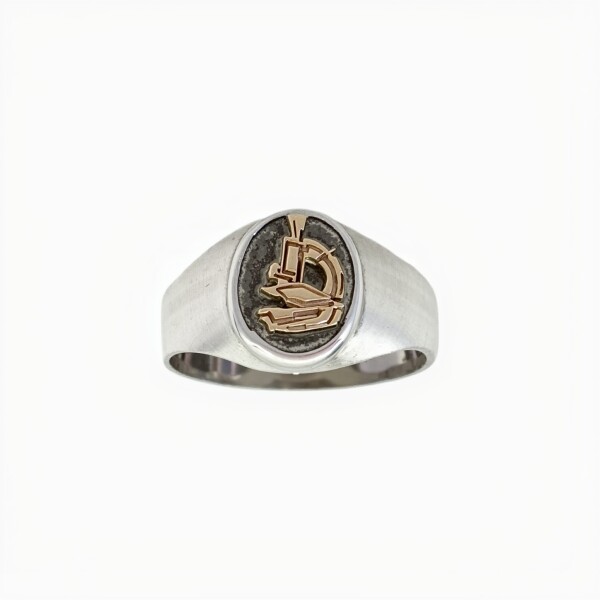 Anillo Profesión Laboratorista -Plata y Oro - AP5052 sinpiedra