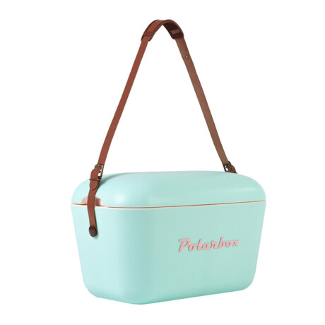 Conservadora Térmica Retro 20L Polarbox Playa Camping Viajes Verde Agua/rosa