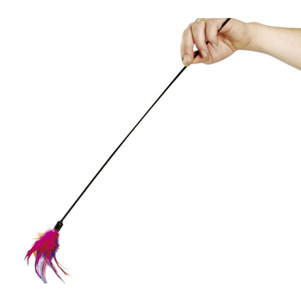 PLUMAS EN UN PALO CAJA DISPLAY PLUMAS EN UN PALO CAJA DISPLAY