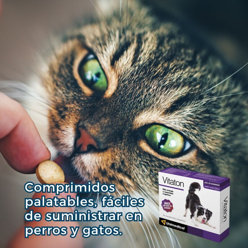 VITATON SUPLEMENTO ENERGIZANTE Y COGNITIVO X BLISTER DE 5 COMPRIMIDOS