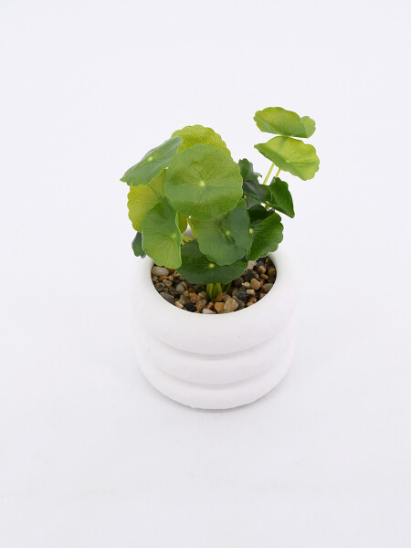 MACETA CERAMICA CON PLANTA BLANCO
