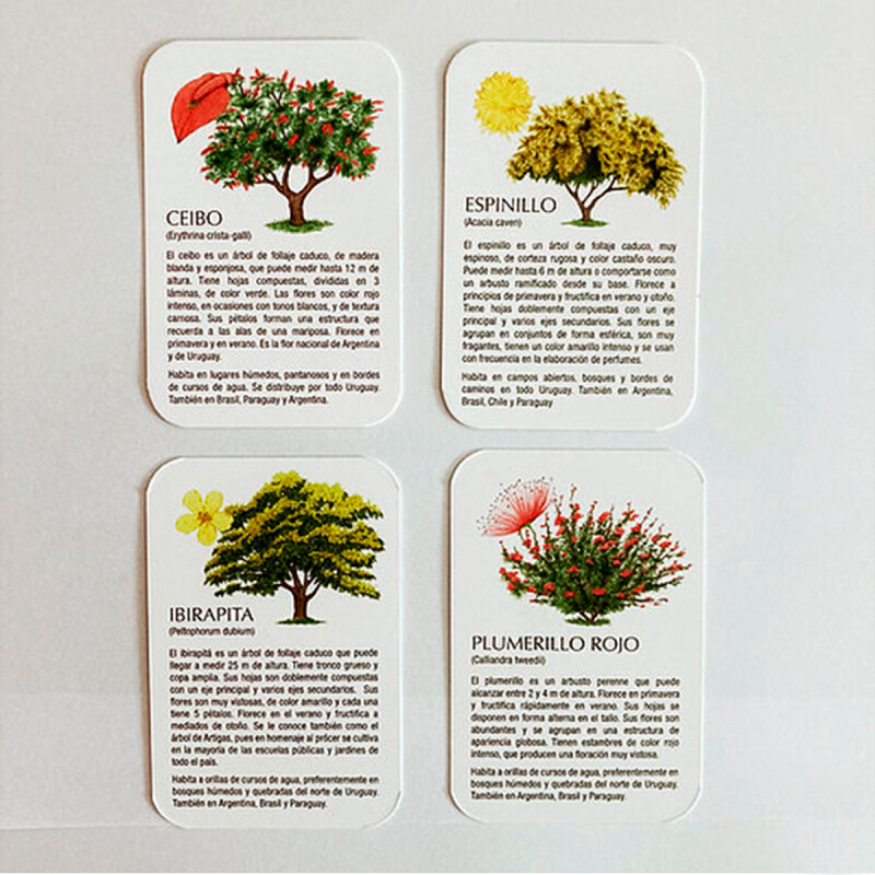 Cartas Flora Nativa Del Uruguay S/C