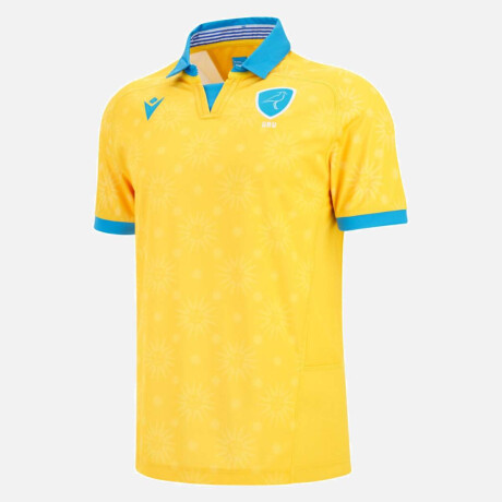 Camiseta alternativa teros 2025/26