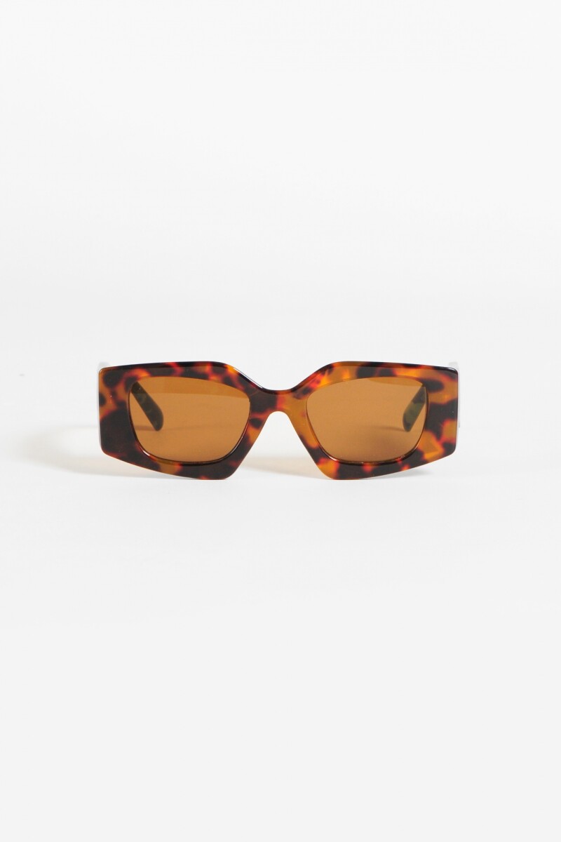 Lentes de sol Mole carey