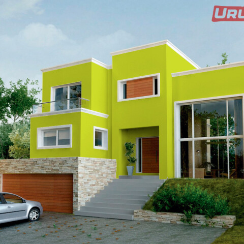 King Latex Latex interior exterior Verde Limón