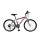 Bicicleta Baccio Alpina Man Montaña rodado 24 con 21 cambios Gris