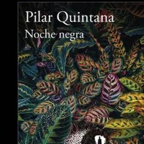 NOCHE NEGRA NOCHE NEGRA