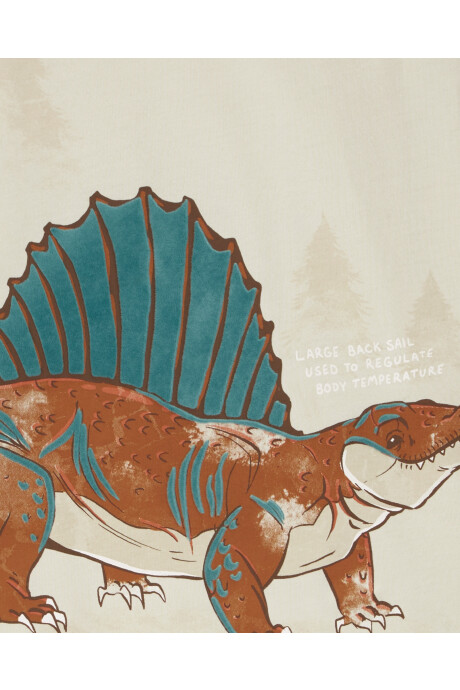 Remera de algodón, manga larga, estampa dino. Talles 2-5T Sin color