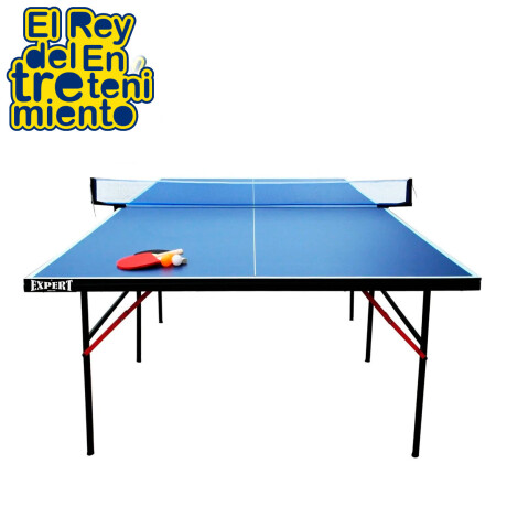 Mini Mesa Ping Pong Reforzada Plegable + Accesorios Mini Mesa Ping Pong Reforzada Plegable + Accesorios