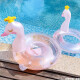 Cisne Inflable Cisne Inflable