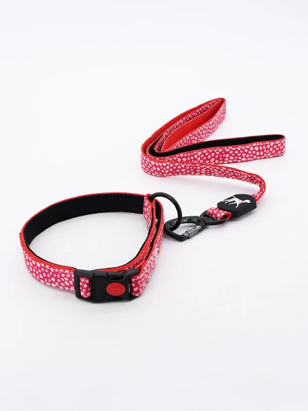 SET COLLAR CON CORREA MULTICOLOR