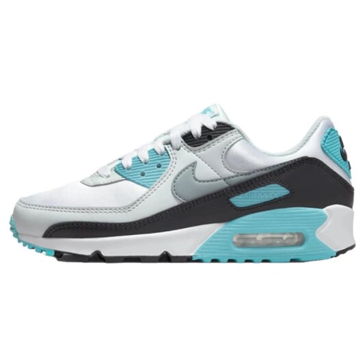 Champion Nike Dama Air Max 90 Ess Snkr White/Cool Grey S/C