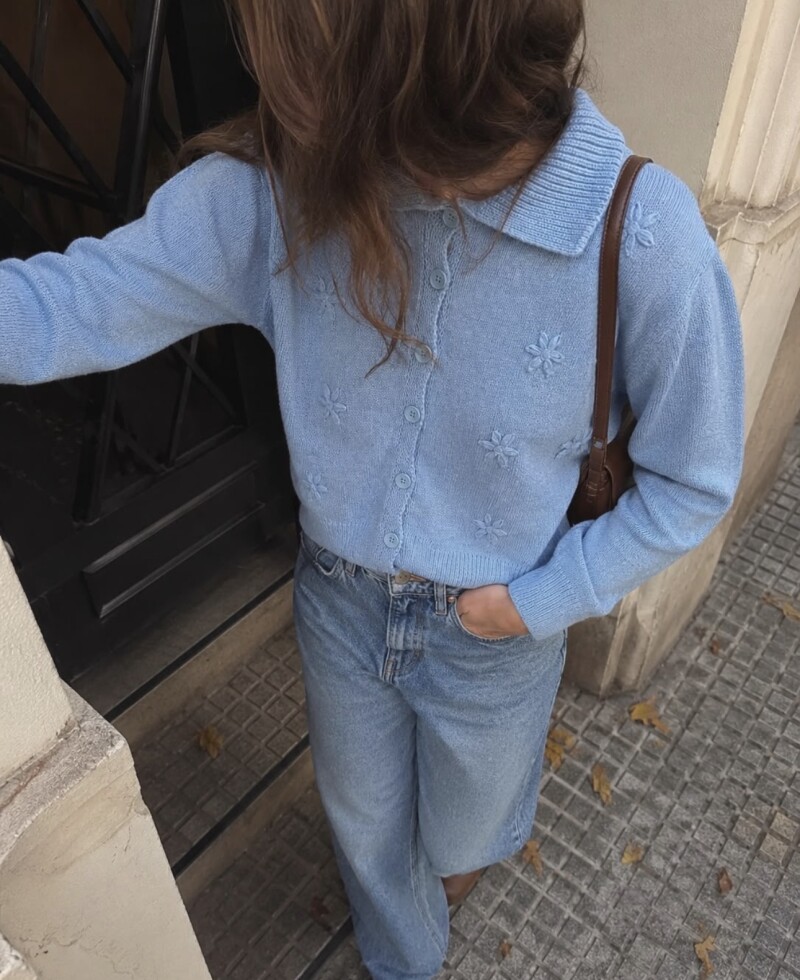 Saco Ana celeste