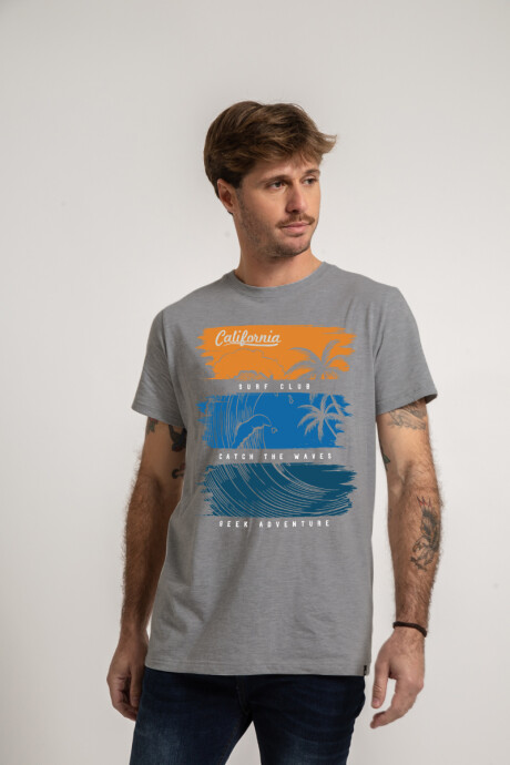 Remera California Gris