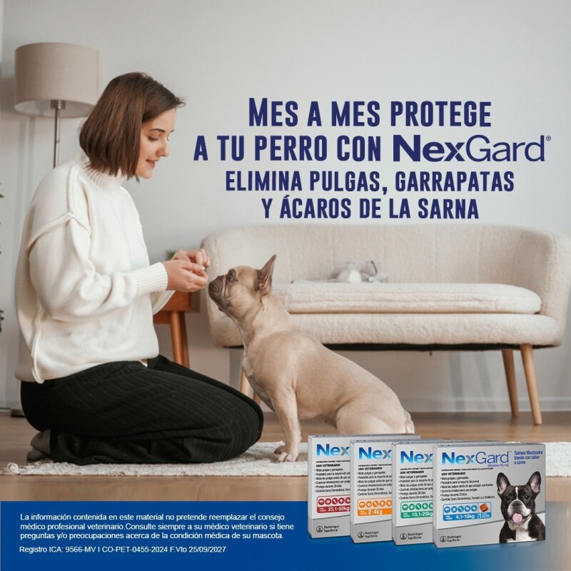 NEXGARD PASTILLA ANTIPULGAS Y GARRAPATAS X 3 COMP DE 4 A 10 KG