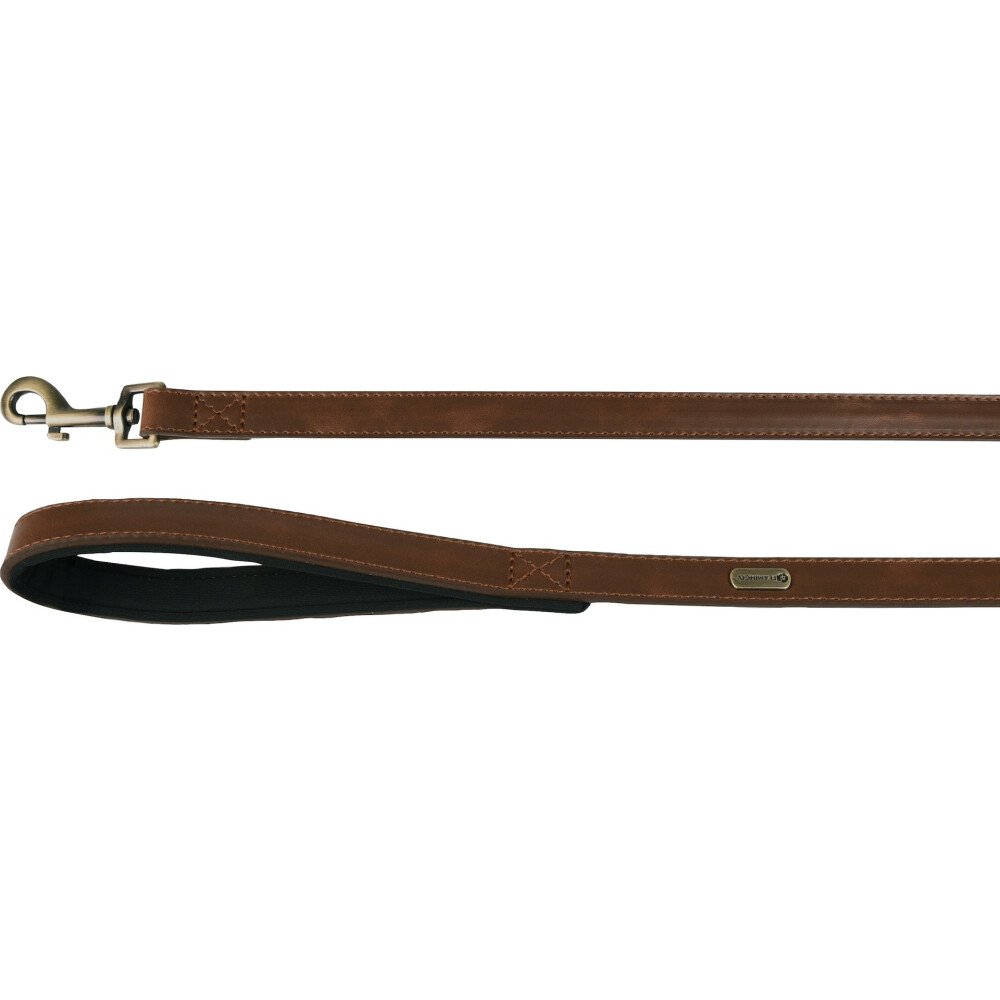 PERRO CORREA CON NEOPRENO LYABO MARRON 1,3M 15MM PERRO CORREA CON NEOPRENO LYABO MARRON 1,3M 15MM