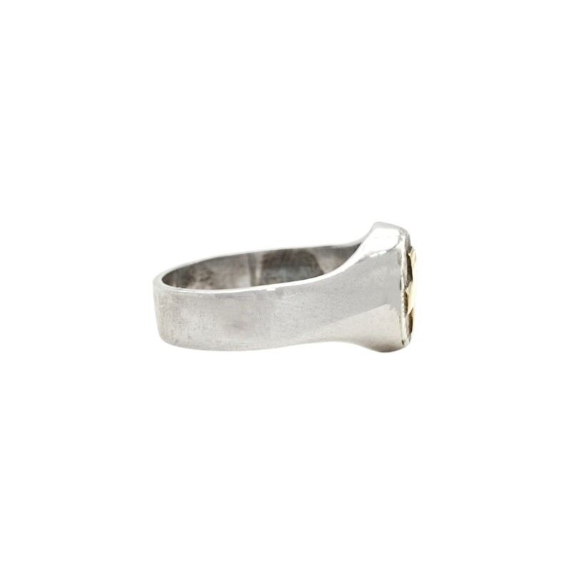 Anillo Profesión Enfermería -Plata y Oro -Sin Piedra-AP5063 sinpiedra