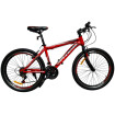 Bicicleta Phoenix TF2024 R24 Bicicleta Phoenix TF2024 R24