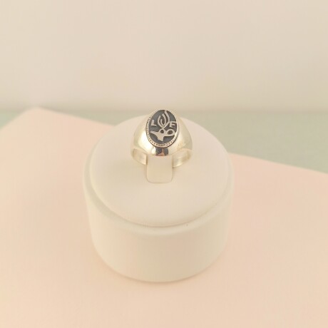 Anillo de plata 925 , símbolo LICENCIADA EN ENFERMERIA. Anillo de plata 925 , símbolo LICENCIADA EN ENFERMERIA.