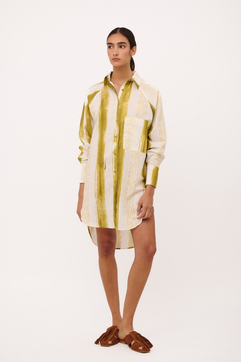 CAMISA RAGLAN MEN PRINT Rayas Pistacho