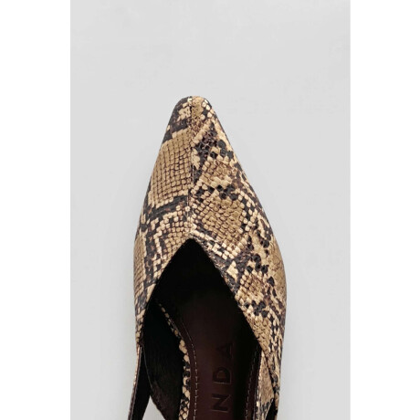 Flat Pili Print 2