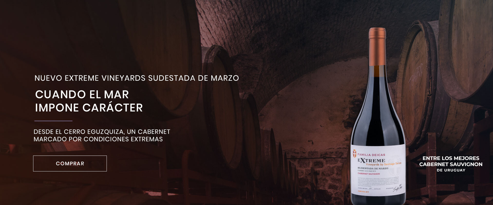 Familia Deicas Sudestada de Marzo