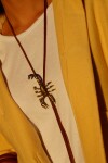 Scorpion Necklace Bronce