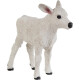 Ternero Pardo Suizo 161729 - Safari - Ternero Pardo Suizo 161729 - Safari -