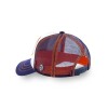 Gorro CapsLab Dragon Ball Z Multicolor