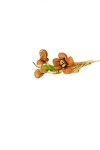 Pick flor 7x2 cm. - ORGANZA MARRONE Pick flor 7x2 cm. - ORGANZA MARRONE
