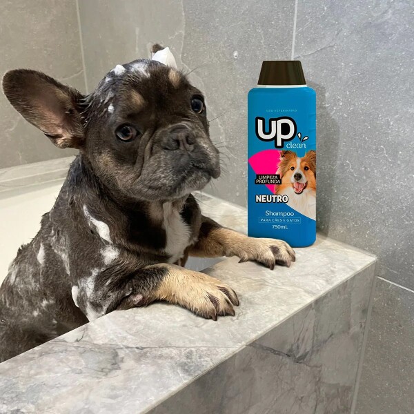 Shampoo Neutro Perro Gato Mascotas Up Clean 750Ml Limpieza Shampoo Neutro Perro Gato Mascotas Up Clean 750Ml Limpieza