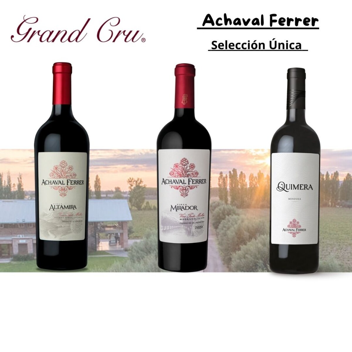 Selección Única Achaval Ferrer 