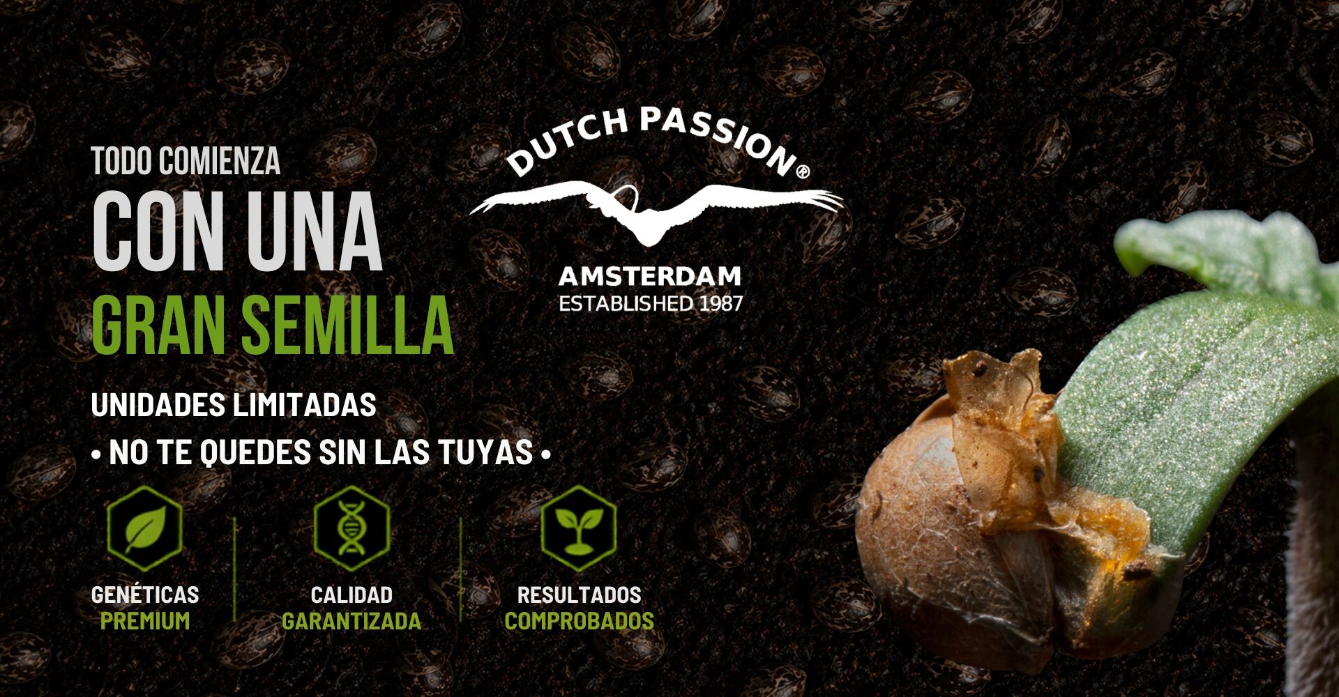 SEMILLAS DUTCH PASSIÓN