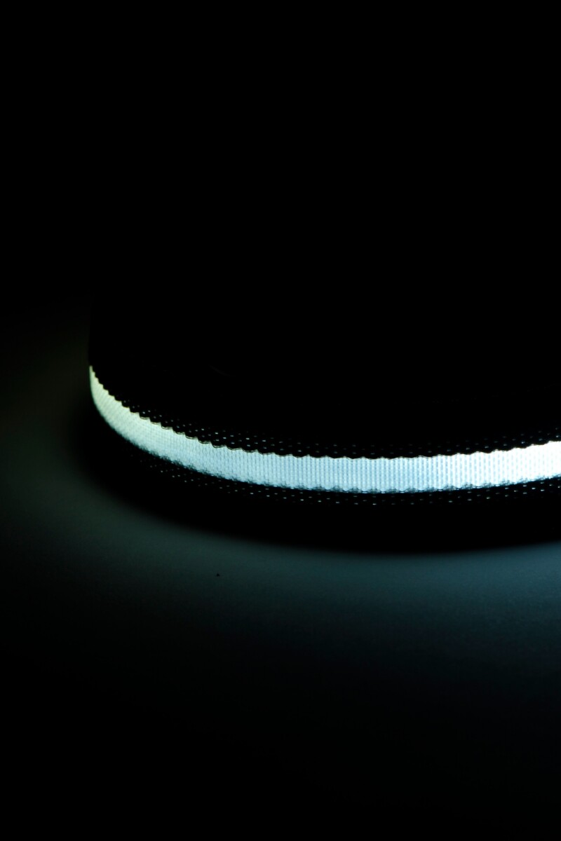 Collar con luz LED recargable negro