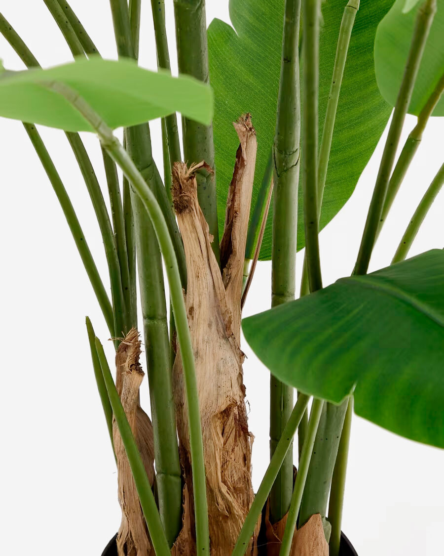 Planta artificial Banano con maceta negra 210 cm Planta artificial Banano con maceta negra 210 cm