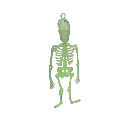 Calavera que brilla en oscuridad 32 cms Calavera Que Brilla En Oscuridad 32 Cms