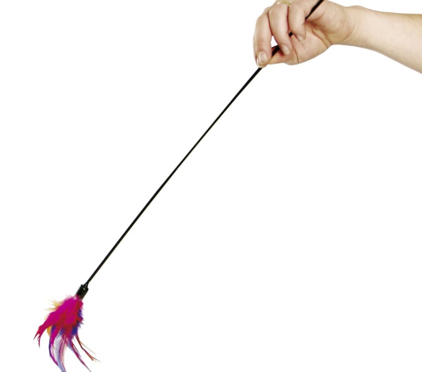 PLUMAS EN UN PALO CAJA DISPLAY 