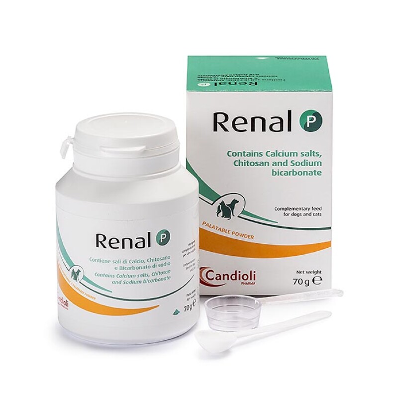 Renal P 240 grs